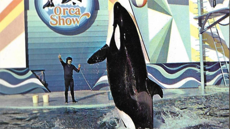 Orca Show, Playcenter.