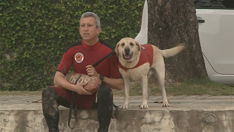 Itajaí tem o primeiro cão guarda-vidas do Brasil