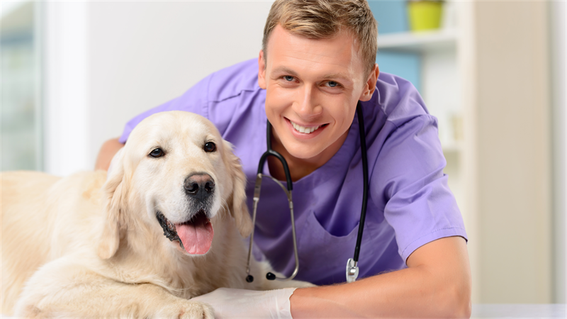 Médico-veterinário é reconhecido como profissional essencial ao controle de doenças