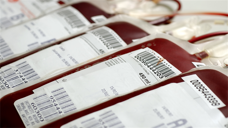 Banco de Sangue Animal está salvando diversas vidas